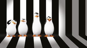 荒失失企鵝電影劇照2