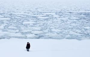 養慾之恩電影劇照2