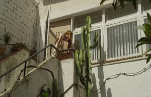 戀10,000公里的愛電影劇照3