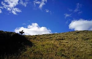 狼圖騰電影劇照3