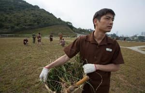 壹獄壹世界：高登闊少踎監日記電影劇照6