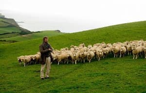 瘋戀佳人電影劇照5