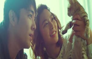 愛與貓同行電影劇照2