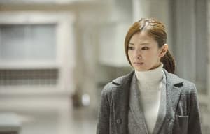 律政英雄2015電影劇照2