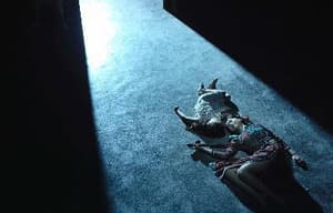 我們停戰吧電影劇照11