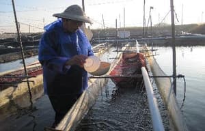 漁生．餘聲電影劇照2