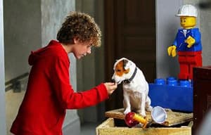 聰明狗笨豬電影劇照6