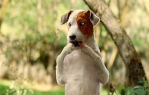 聰明狗笨豬電影劇照11