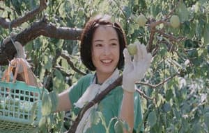 海街女孩日記電影劇照10