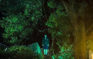 碟仙碟仙電影劇照11