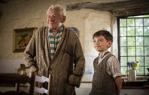 福爾摩斯的最後奇案電影劇照4