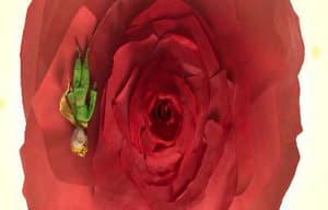 小王子電影劇照8