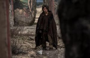 復仇勇者電影劇照9