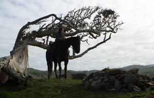 臥虎藏龍：青冥寶劍電影劇照13