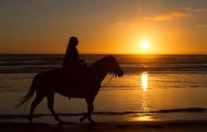 臥虎藏龍：青冥寶劍電影劇照15