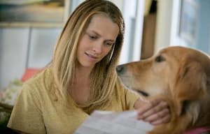 愛你‧不愛你電影劇照9