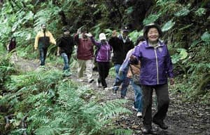 紅衣小女孩電影劇照3