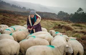 已經很想妳電影劇照12