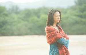 北京遇上西雅圖之不二情書電影劇照5