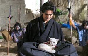 貓侍：萌主現身電影劇照9