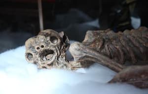 冤魂物業: 殘穢電影劇照12