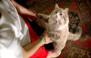 億萬喵星人電影劇照4