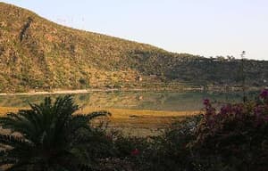 危情後樂園電影劇照6