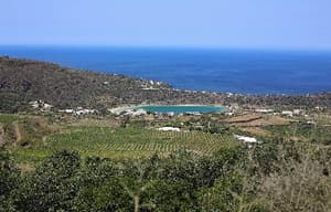 危情後樂園電影劇照8