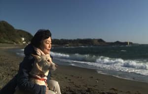 狗狗沒有家電影劇照2