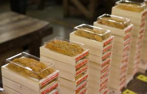 潮拜築地：魚味無窮電影劇照12