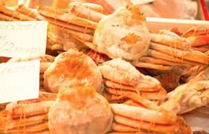 潮拜築地：魚味無窮電影劇照14