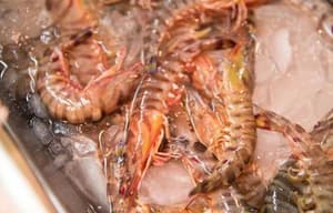 潮拜築地：魚味無窮電影劇照8