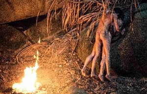 同流合烏電影劇照2