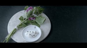 NOMA 美食風暴電影劇照6