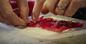 NOMA 美食風暴電影劇照10