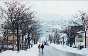 1日情人電影劇照9