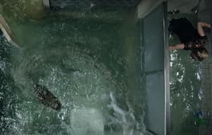 噬逃險鱷電影劇照13