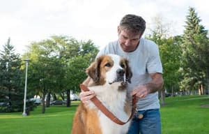 再見亦是狗朋友電影劇照3