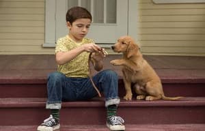 再見亦是狗朋友電影劇照4