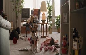 再見亦是狗朋友電影劇照6