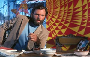 迷幻旅程電影劇照3