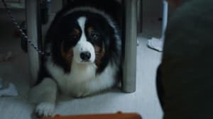 如果主子會説話電影劇照49