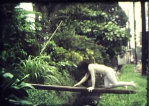 寧為慾碎：尼克狄奧甘普之選 (M+ Cinema Programmes)電影劇照2