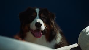 如果主子會説話電影劇照28