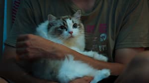 如果主子會説話電影劇照75