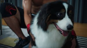 如果主子會説話電影劇照8