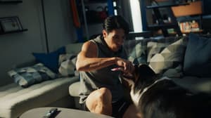 如果主子會説話電影劇照56