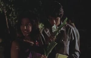 許鞍華 - 好好港電影 : 胡越的故事電影劇照2