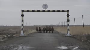 致孤獨：銀幕上的寂寞城市 (M+ Cinema Programmes)電影劇照5