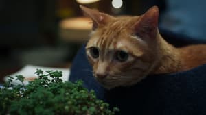 如果主子會説話電影劇照42